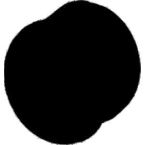 Pasolu Çin Piston Lastiği